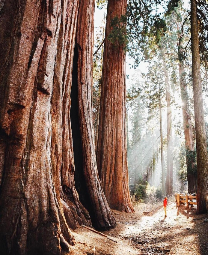 The perfect place #132