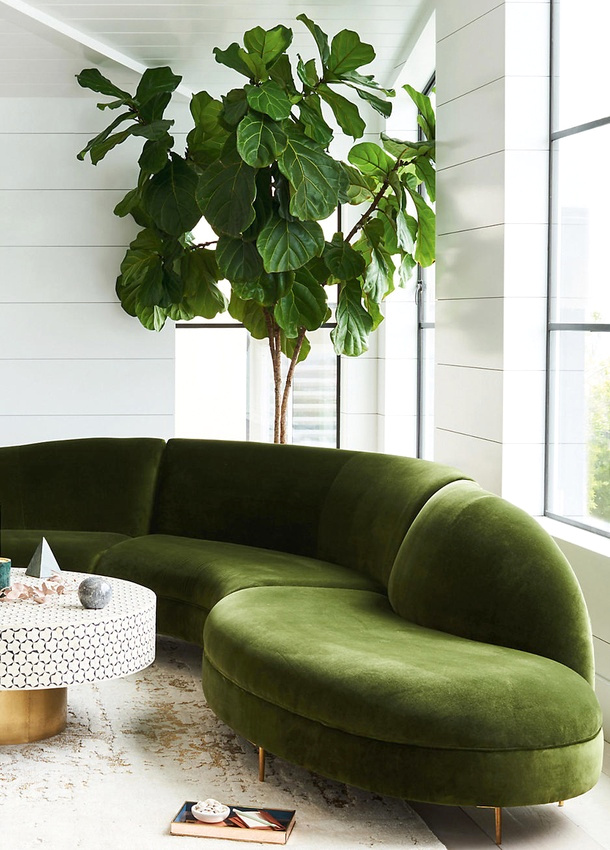 Arbre d'int�rieur + velours ras = le bon mix