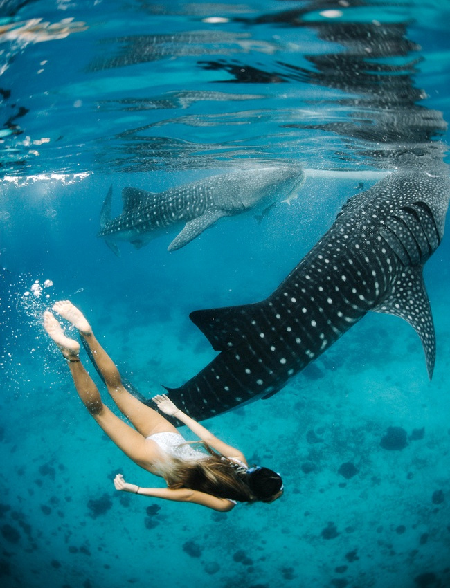 Illustration parfaite du bonheur #157