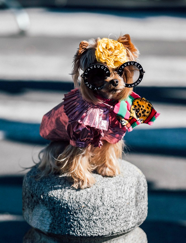 En p�riode de fashion week, on ne se refuse rien !