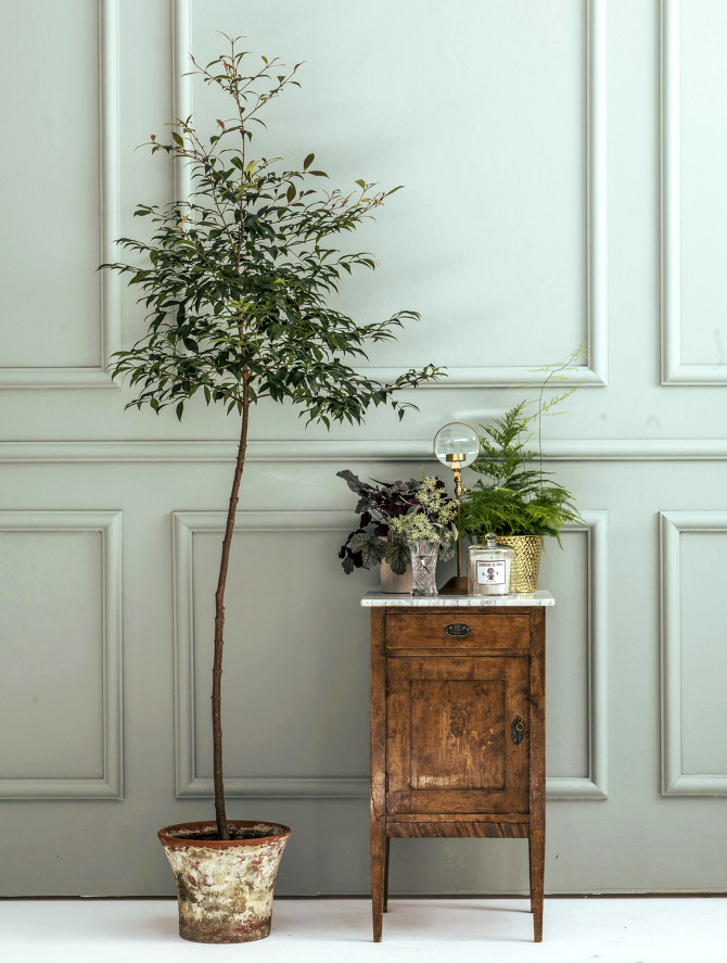 L'�pure non minimaliste, ou comment sublimer un pan de mur relativement classique