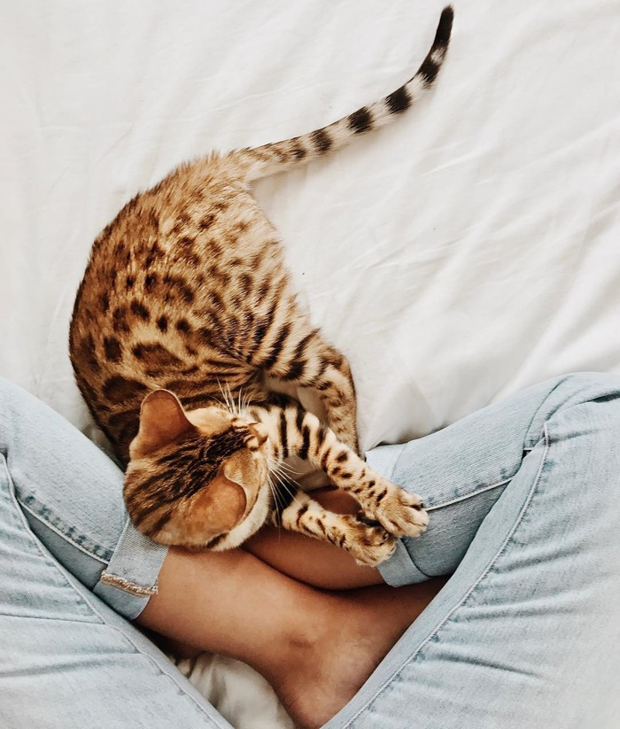 Toujours s'attendre � l'inattendu...