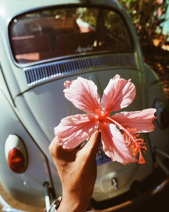 La nature, le plus fascinant des bijoutiers !