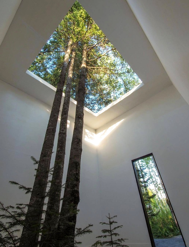 Note pour pour plus tard : penser � planter un arbre au milieu du salon !