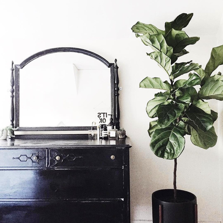 Le parfait d�tail d�co #30