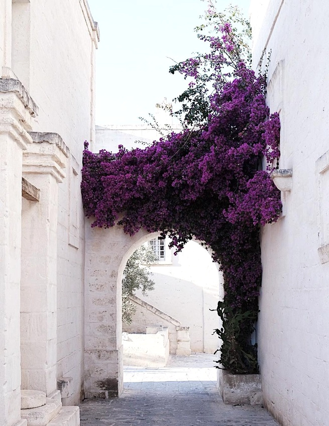 Vu ainsi, le violet ne semble plus si r�dhibitoire...