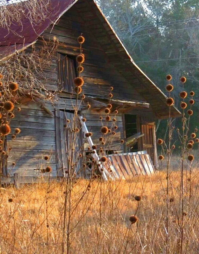 The perfect place #166