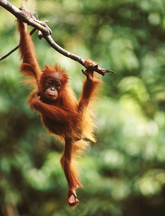 Le yoga, une discipline universelle !