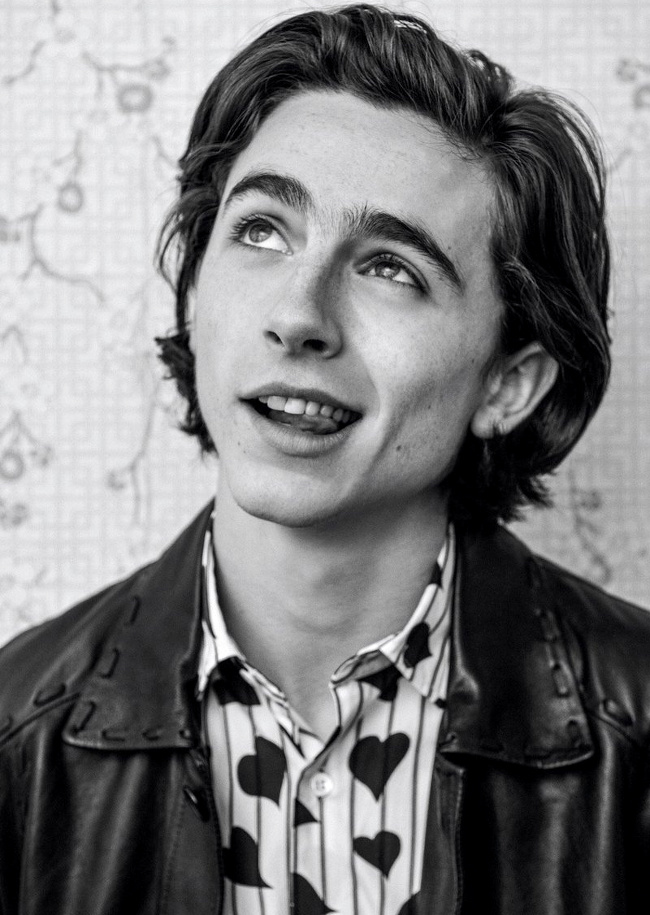 Timoth�e Chalamet, ou l'incarnation parfaite de la notion d'espoir en cin�ma