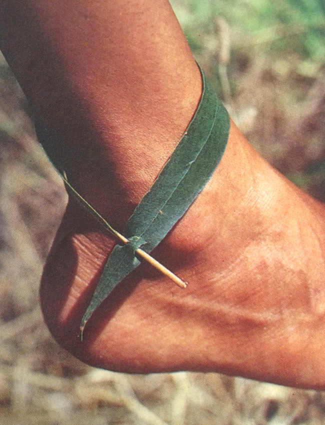 La nature, le meilleur des bijoutiers ?