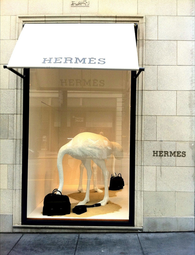 Quitte � faire l'autruche, autant le faire �l�gamment !