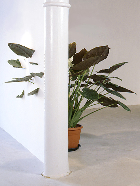 L'art contemporain, ce magicien des temps modernes...