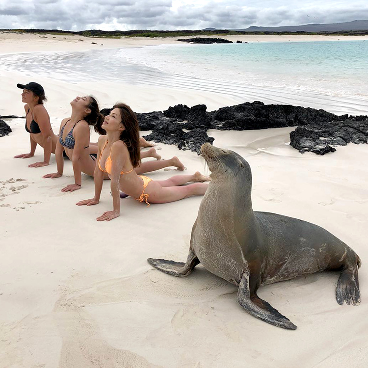 Toujours prendre exemple sur les professionnels !