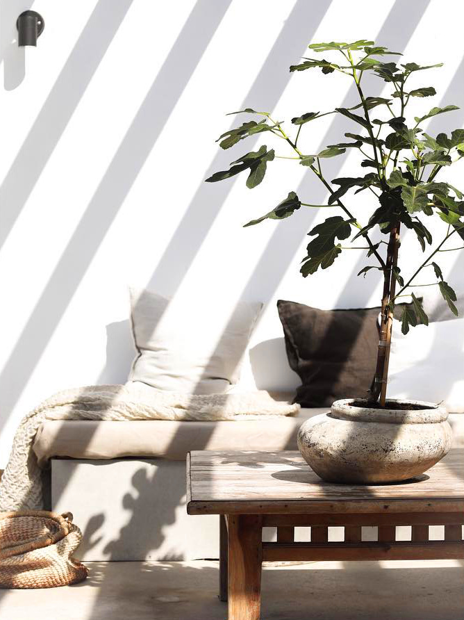 Le parfait d�tail d�co #41