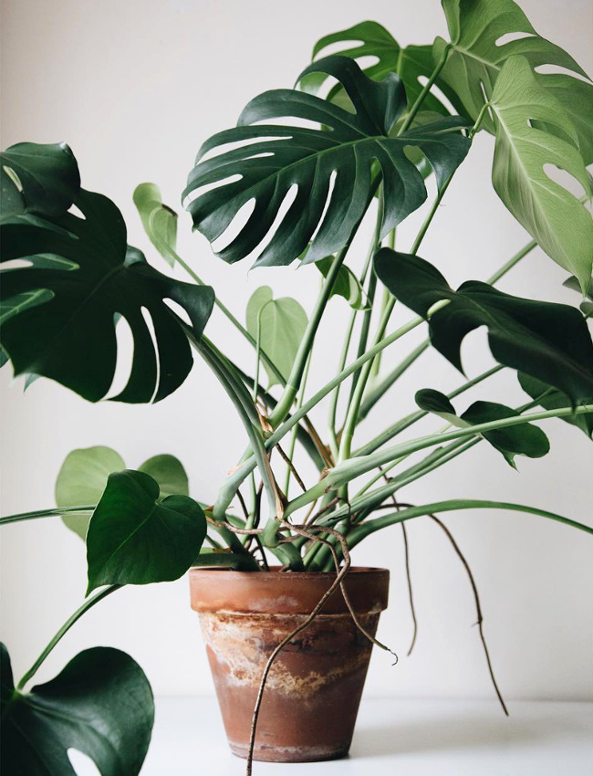 Le parfait d�tail d�co #42