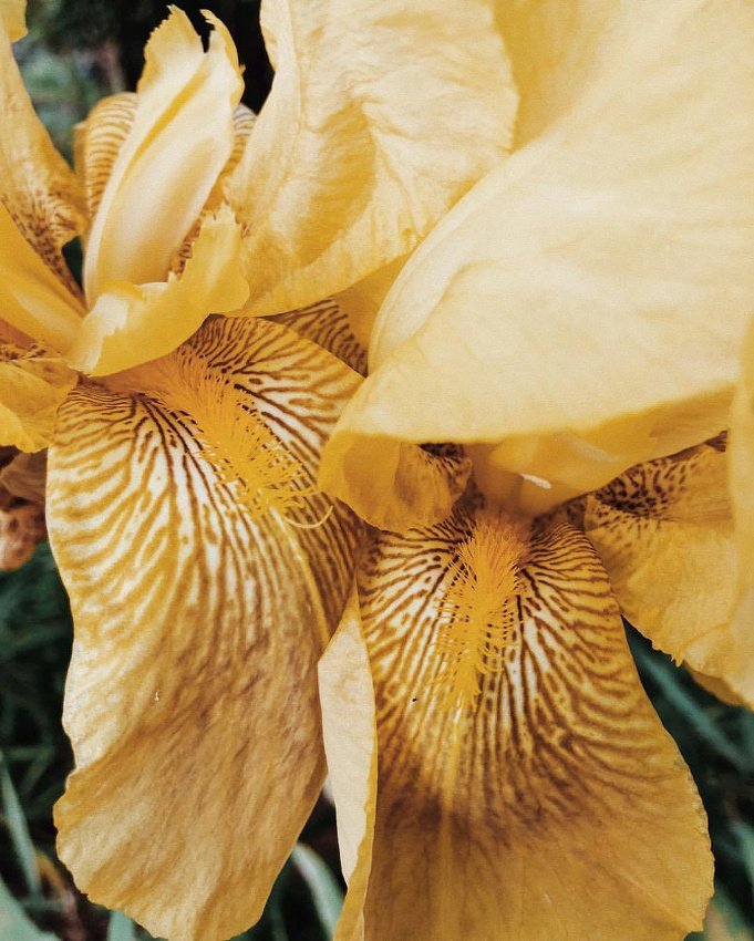 La nature, la plus talentueuse des cr�atrices !