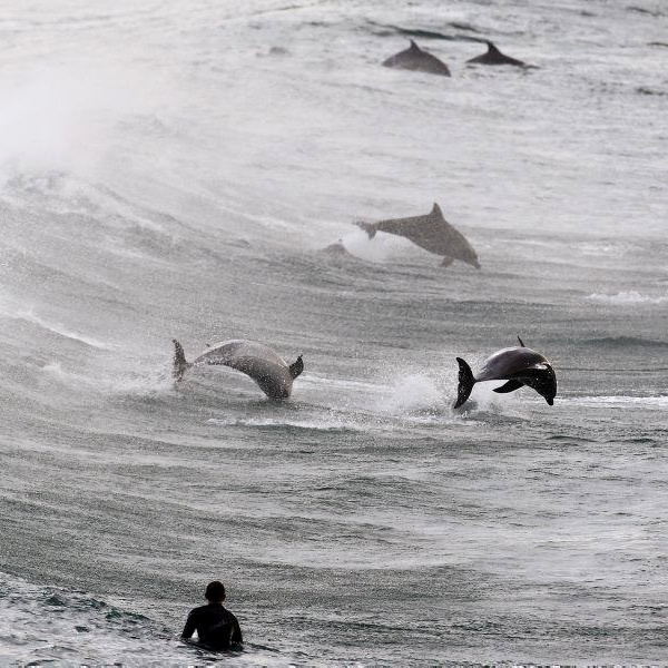 Illustration parfaite du bonheur #189