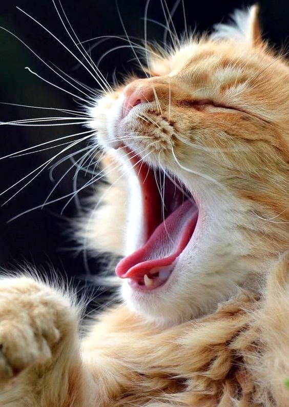 Comme un lundi matin...