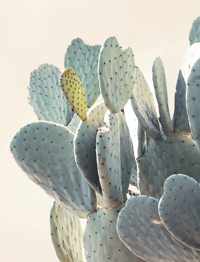 Le parfait d�tail d�co #55