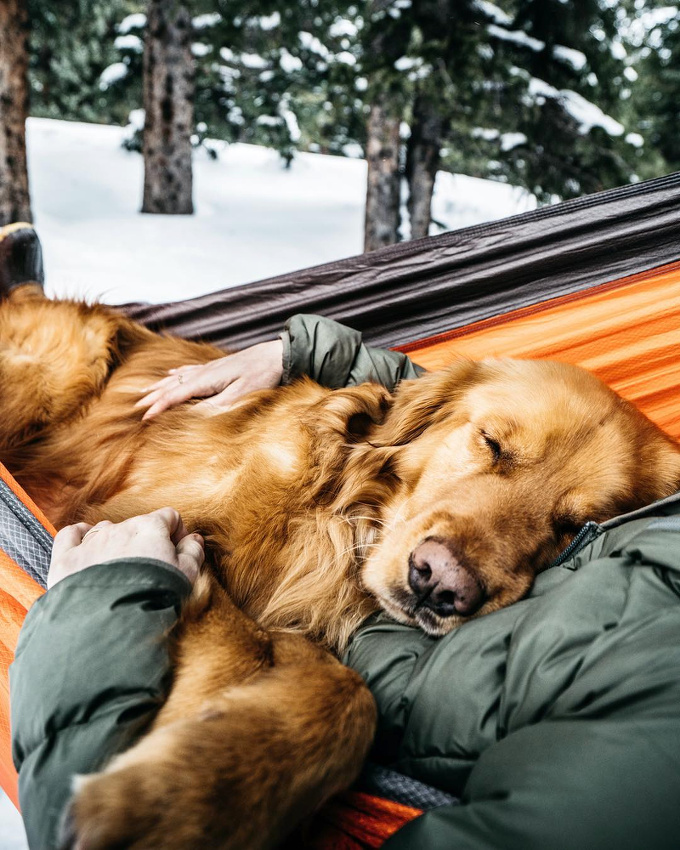 Oser s'abandonner...