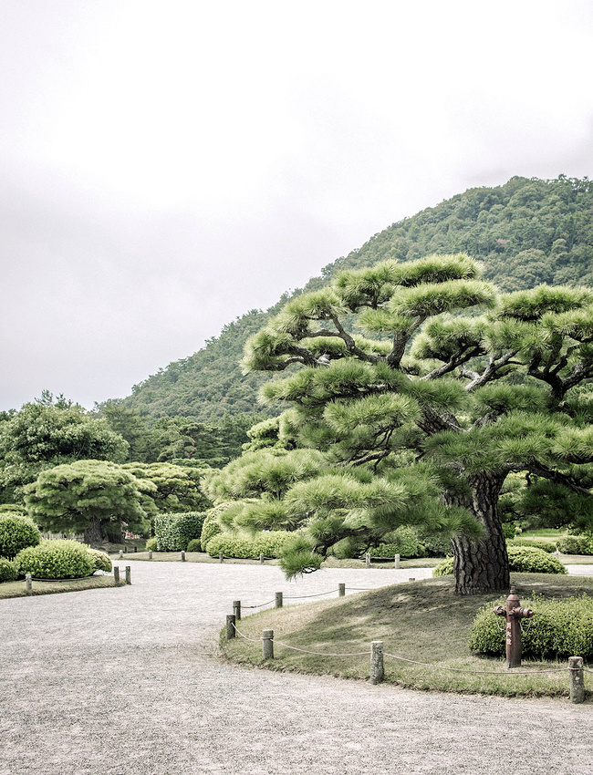 The perfect place #220