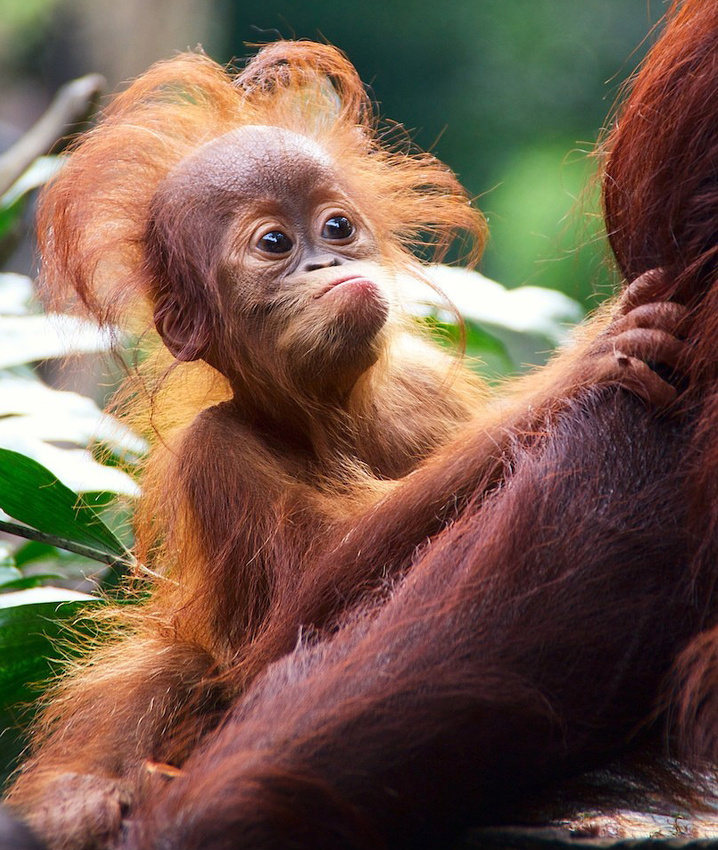 Bad hair day ? Et alors ?!