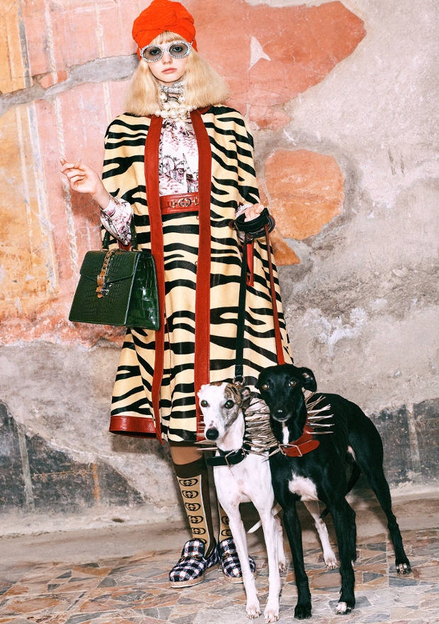 Le z�br� n'en finit pas d'empi�ter sur les plates-bandes du l�opard...