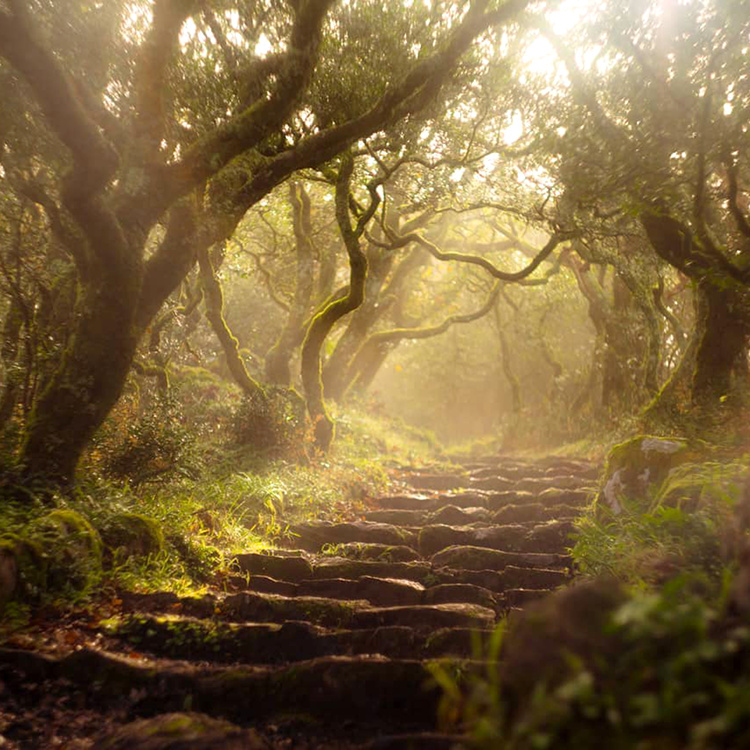 The perfect place #242