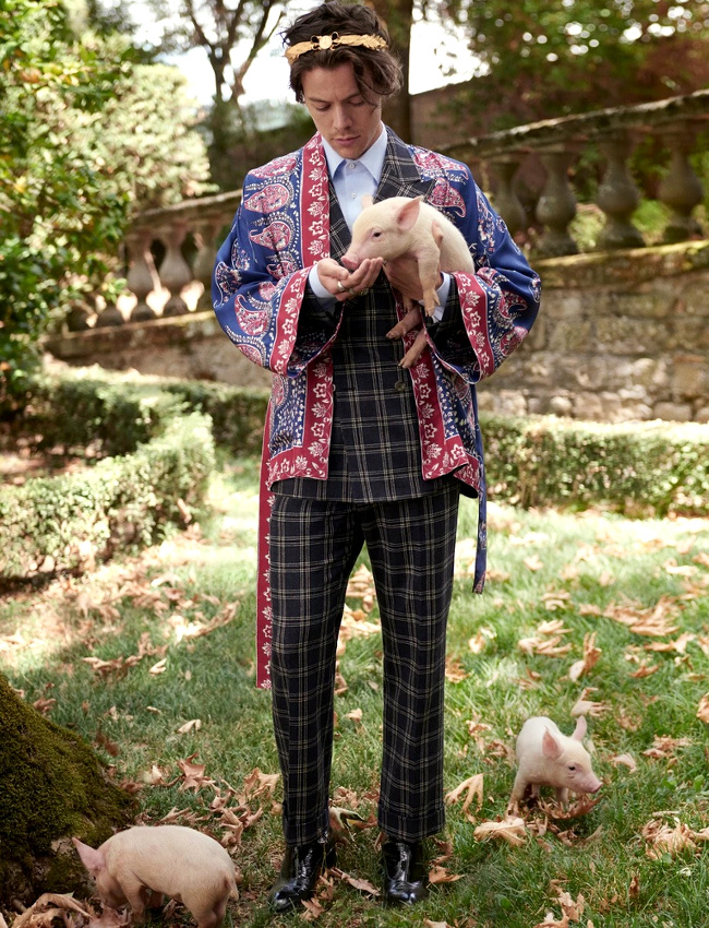 Le cochonnet, le nouveau chaton ?