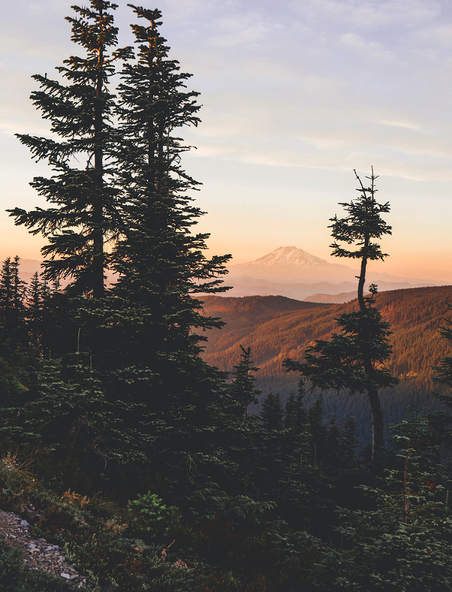 The perfect place #243