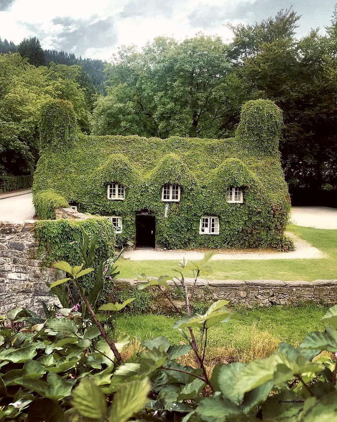 Camouflage v�g�tal...