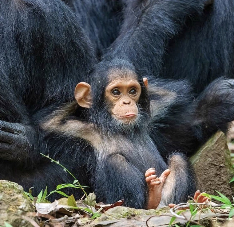 Il est parfois n�cessaire de prendre le temps de ne rien faire...