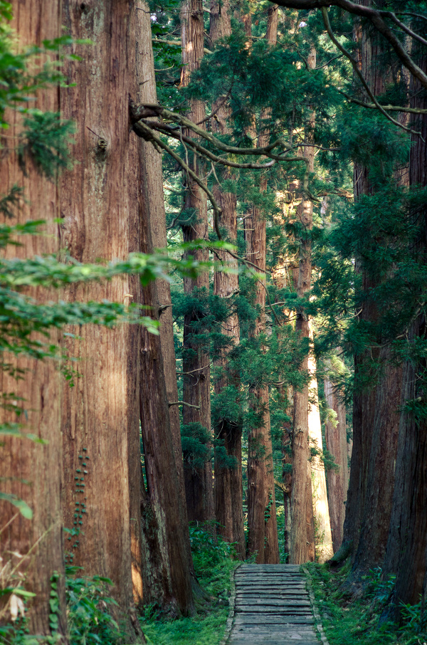 The perfect place #244