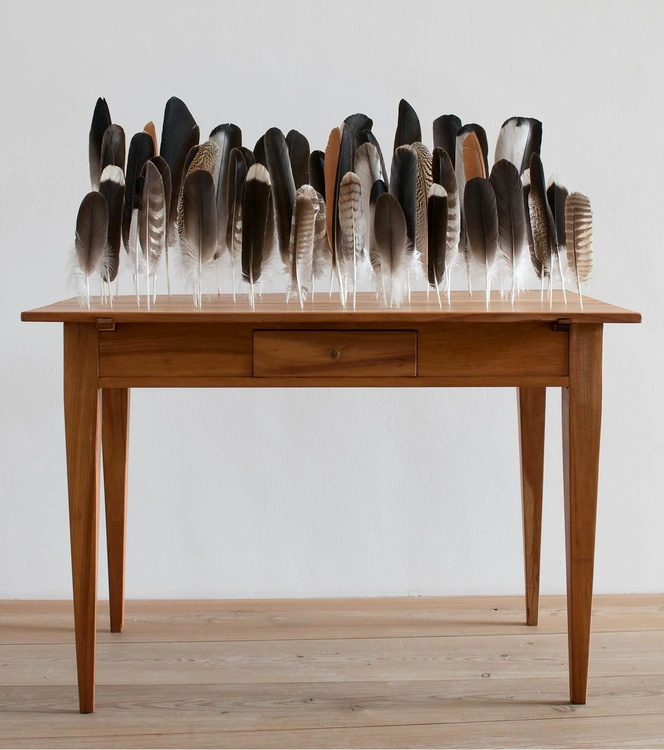 Prendre la plume... oui, mais laquelle ?