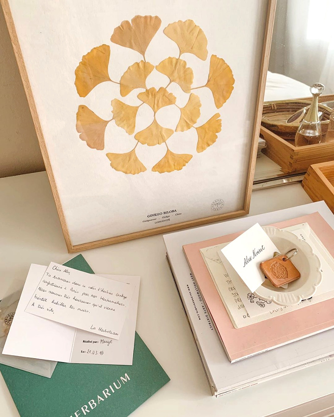 Les feuilles de ginkgo d�shydrat�es, presque plus po�tiques que les fleurs s�ch�es !