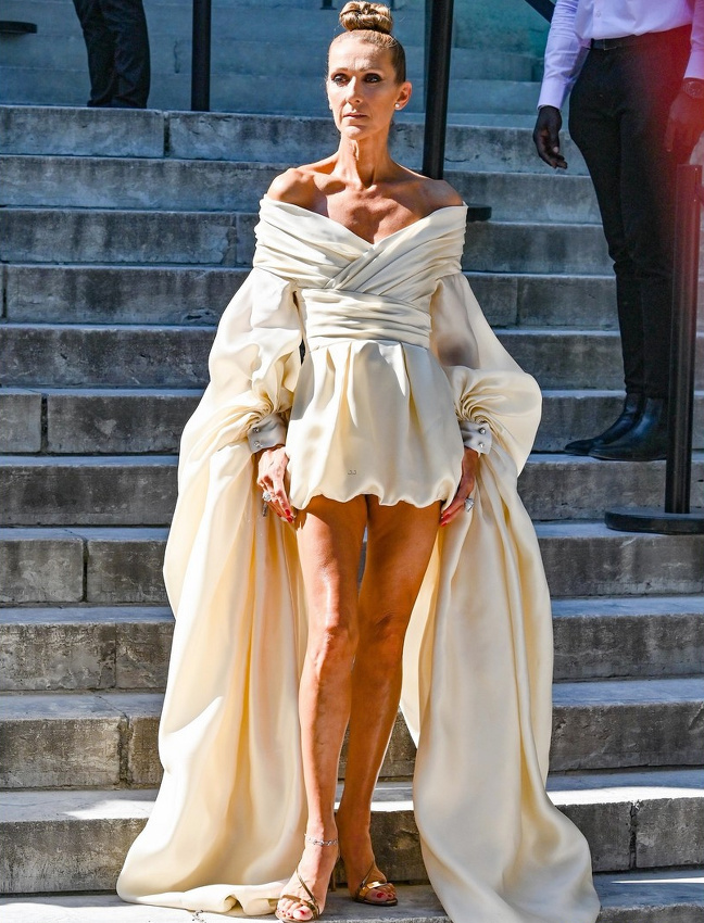 C�line Dion, la nouvelle Anna Dello Russo ?