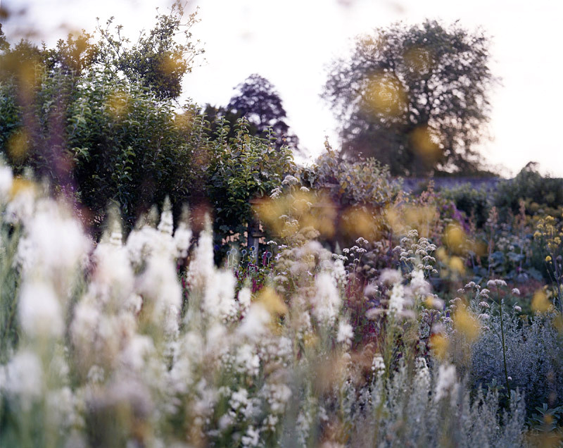 The perfect place #254