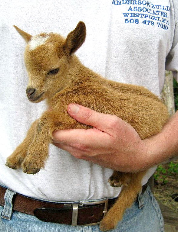 Vous reprendrez bien un peu de douceur ?