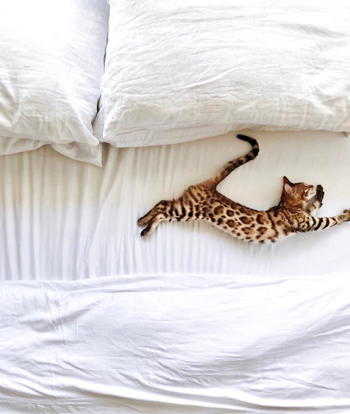 The perfect place #265