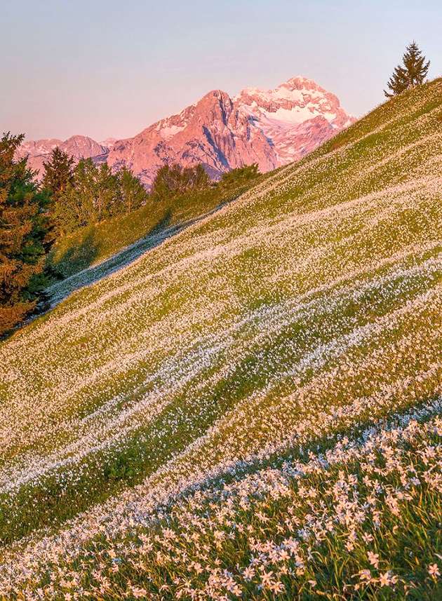 The perfect place #268