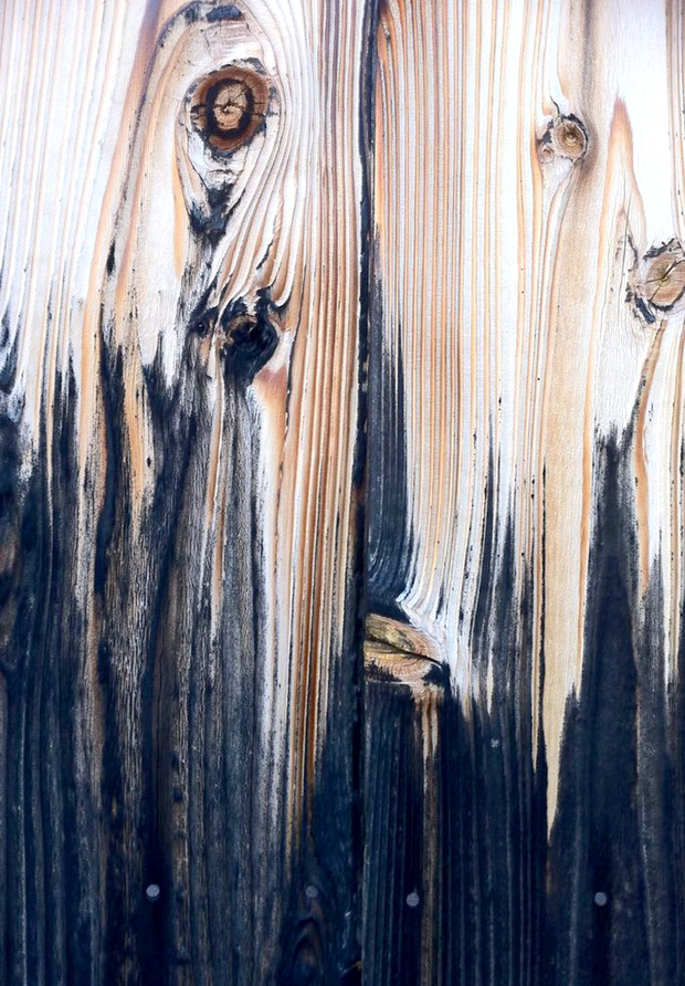 La nature : un incroyable g�n�rateur de mix and match de textures !