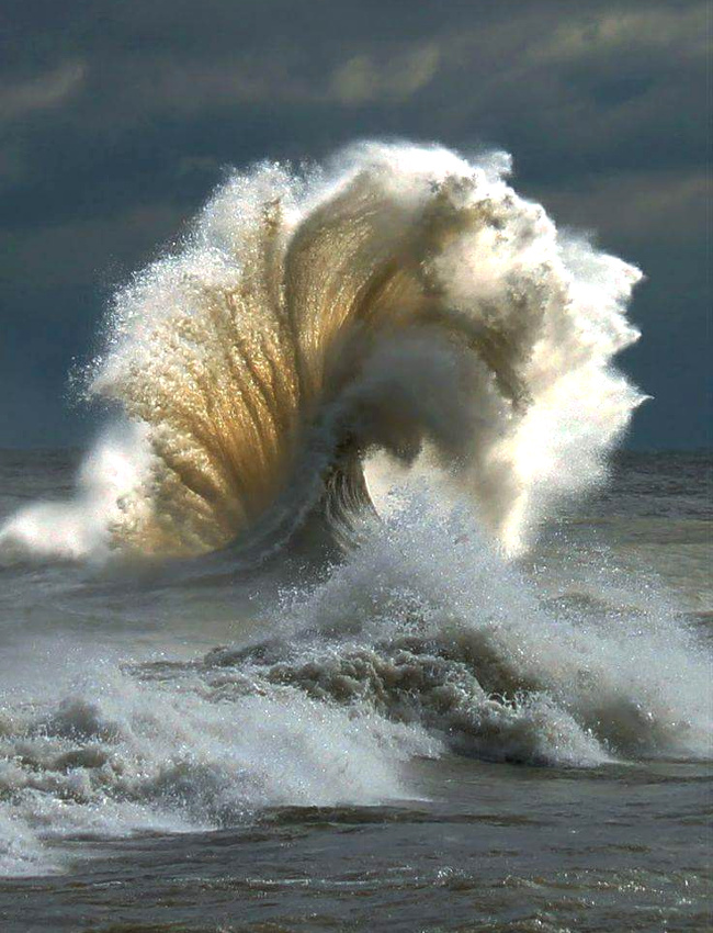 Les vagues, ces cr�atures affolantes de beaut�...