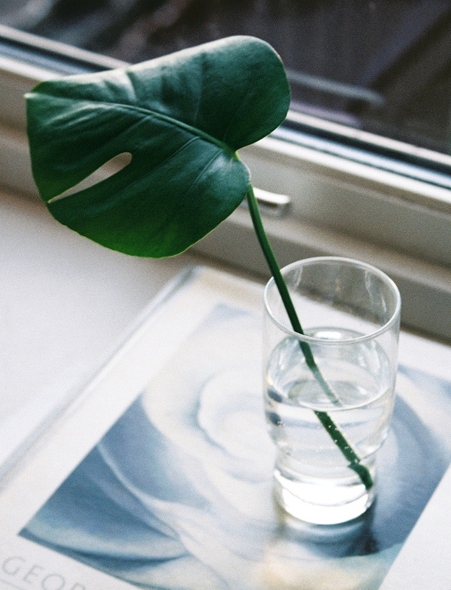 La simplicit�... une m�ditation en soi !