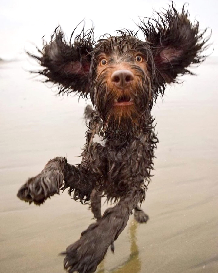 Quand l'obsession pour le selfie d�rape... #4