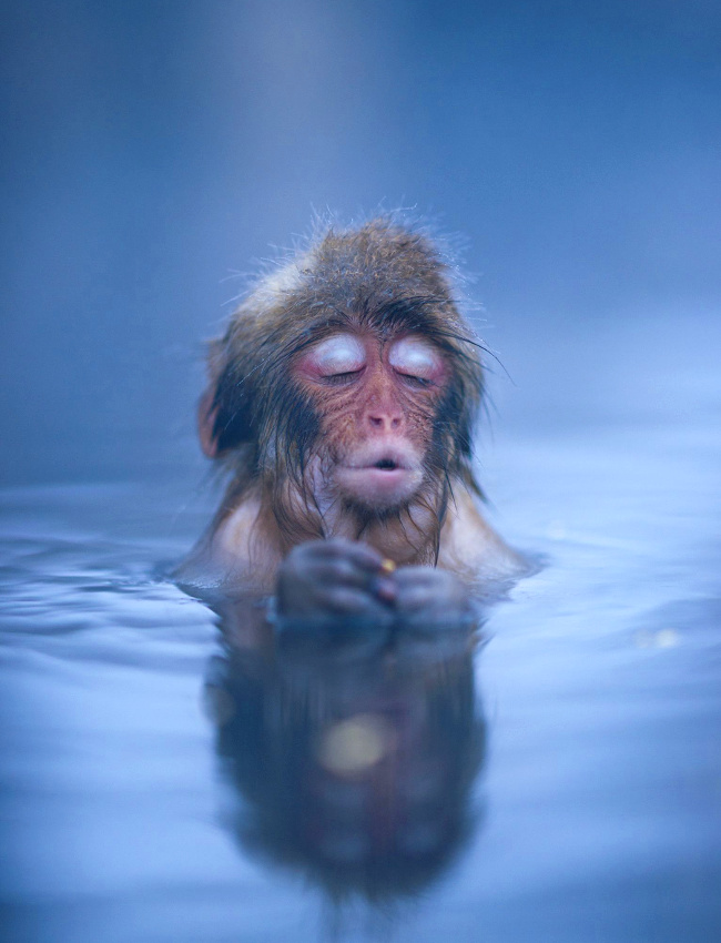 Illustration parfaite du bonheur #227