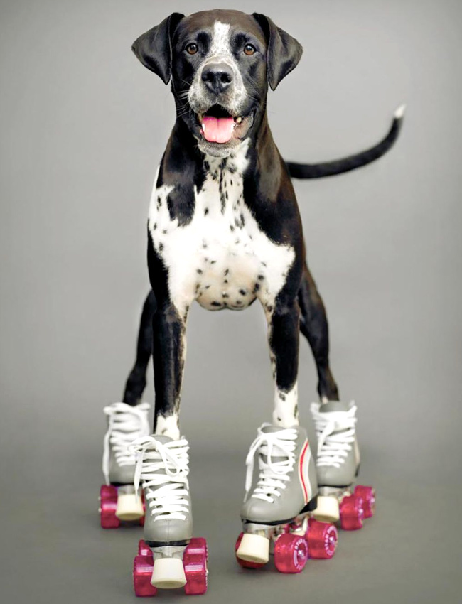 Vouloir aller vite... tout un art !