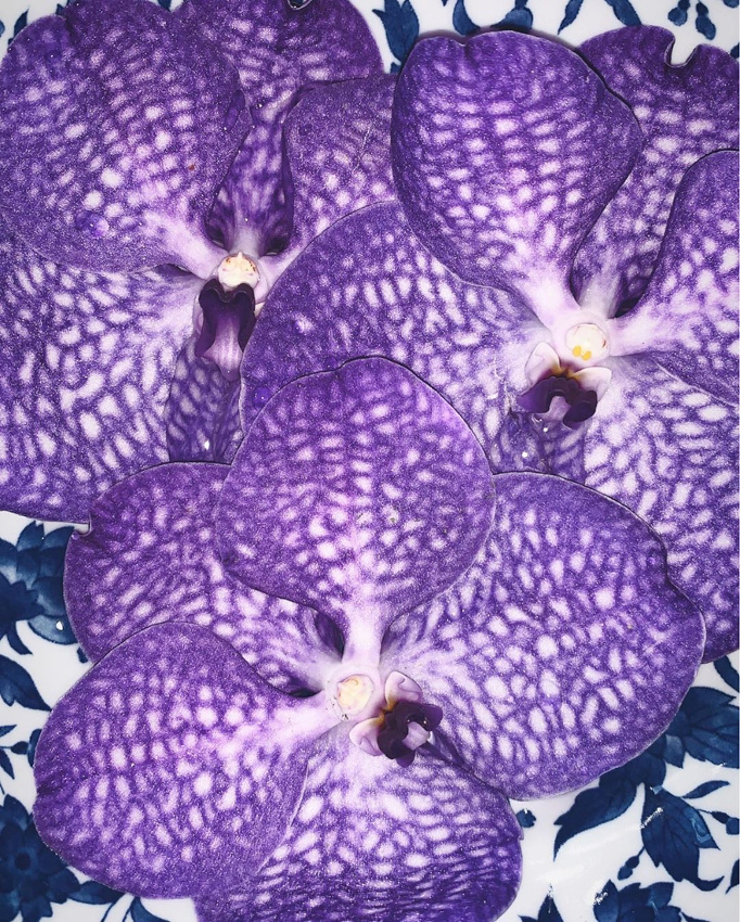 Envie d'un sublime violet � porter avec du camel !