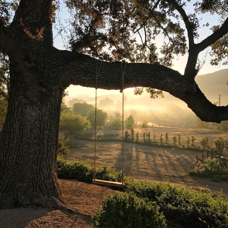 Balan�oire + lumi�re poudreuse = le bon mix