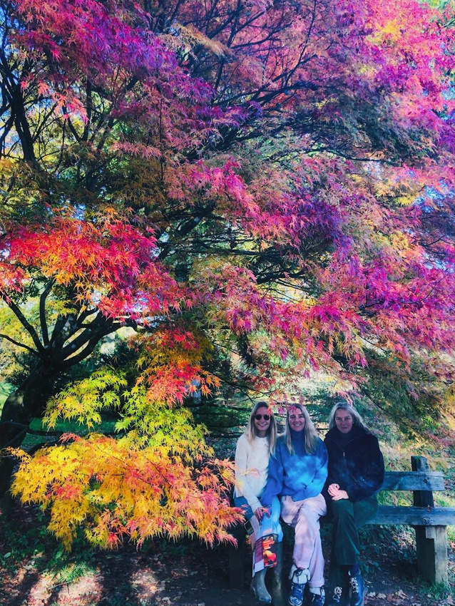 Quand la nature nous vole la vedette...