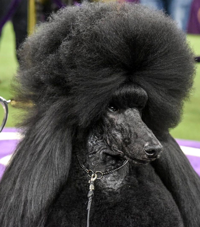 Toujours se mettre sur son 31 pour un premier rendez-vous...